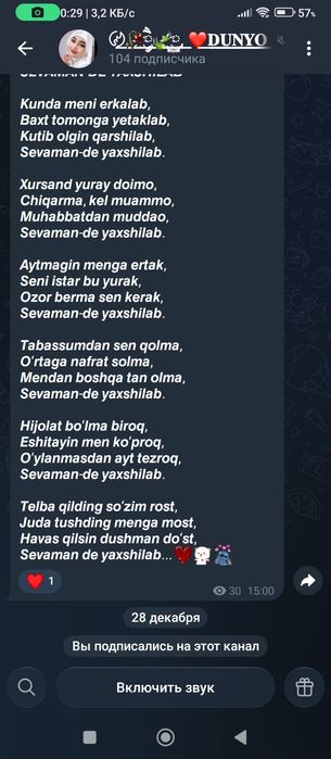 Двухконтурный котёл газовый