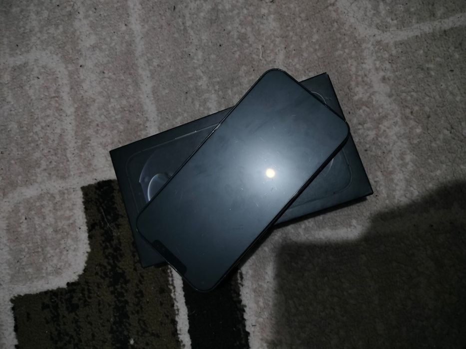 iPhone 12 pro max