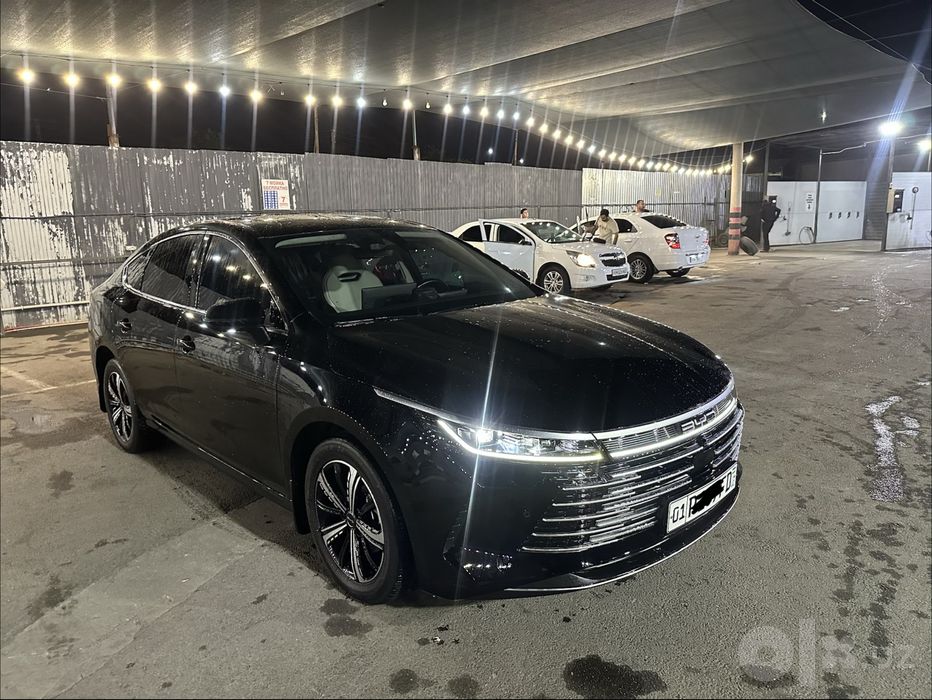 BYD chazor. 2023 full