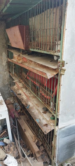 Метален зайчарник