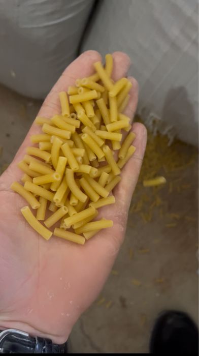 Макароны для собак на корм