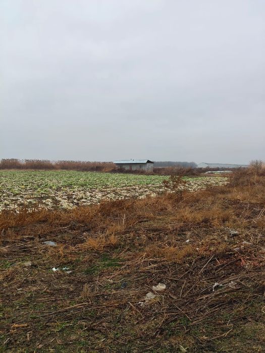 Продаётся крестьянское хозяйство!