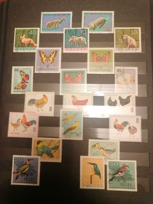 колекция от пощенски марки в класьор