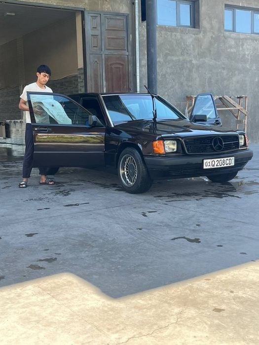 Mercedes Bens W201
