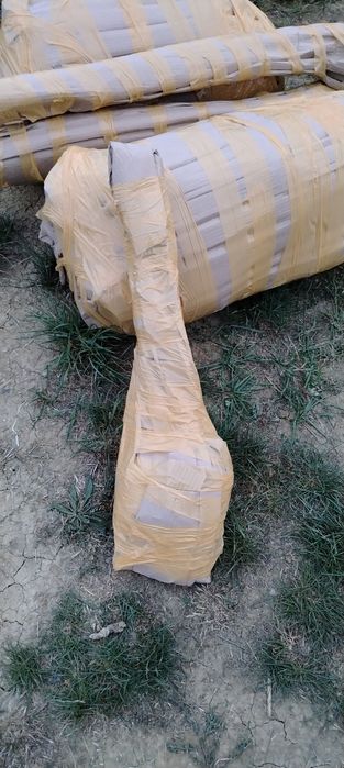 Puieți molid la ghivece și salcâm balot de pământ