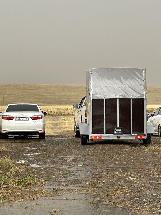 Коневозка для 2 лошадей