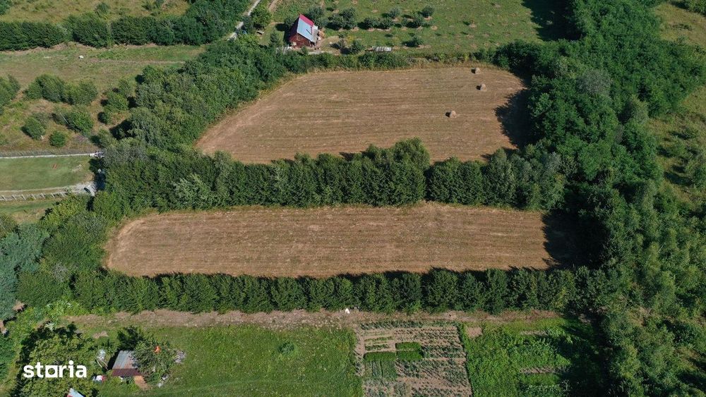Teren de vânzare pe Valea Avrigului–locație superbă-poalele munților