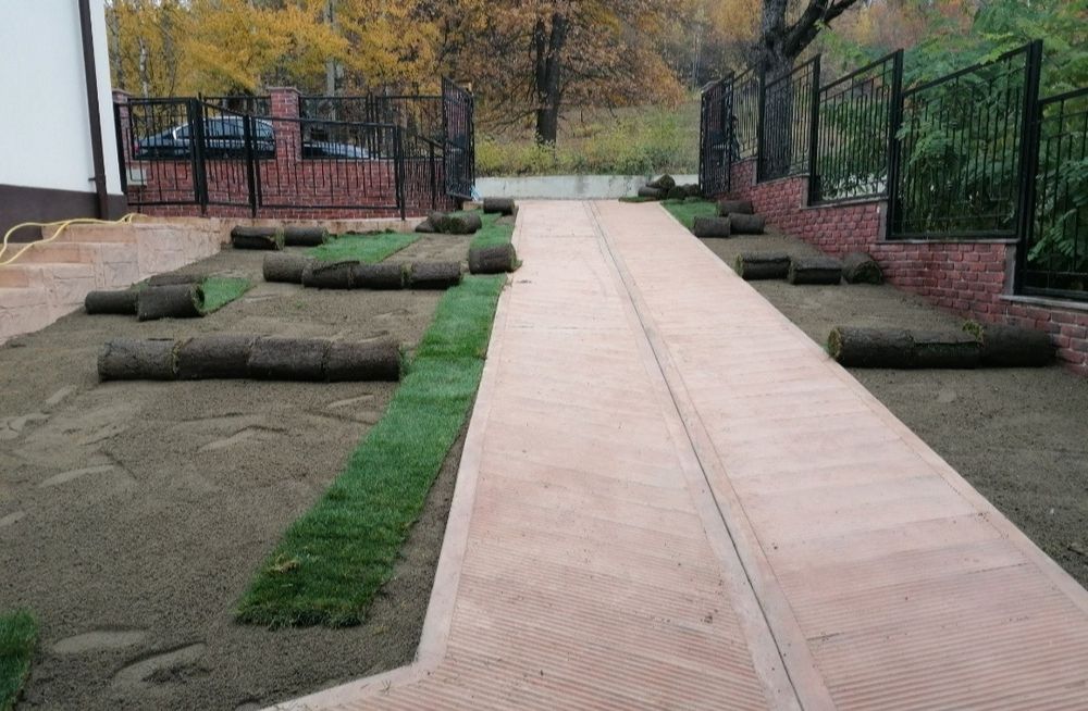 Gazon rulou de trafic 24 de lei m2. Transport și montaj inclus în preț