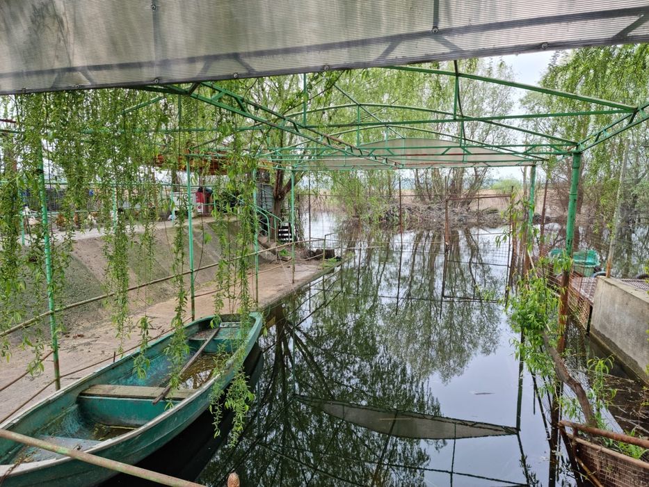Teren 9 Mai cu ponton si debarcader