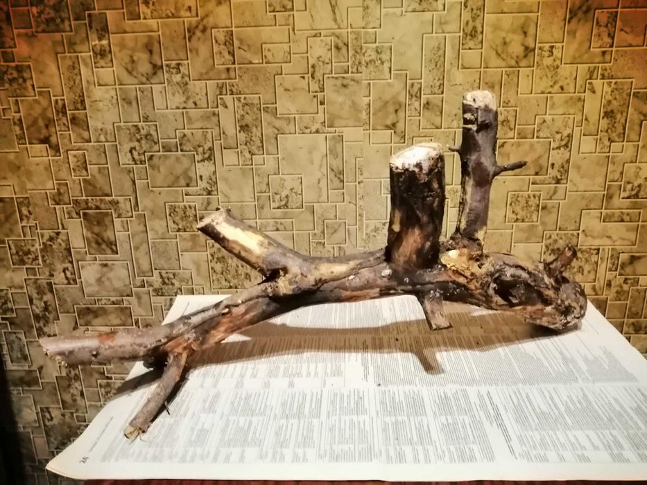 Коряги и трубки для сомов  в аквариум.