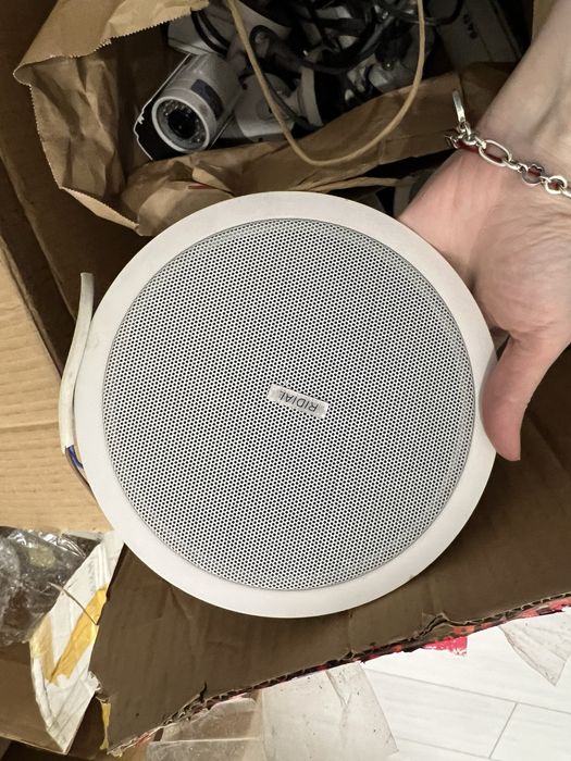 Потолочный громкоговоритель Ridial