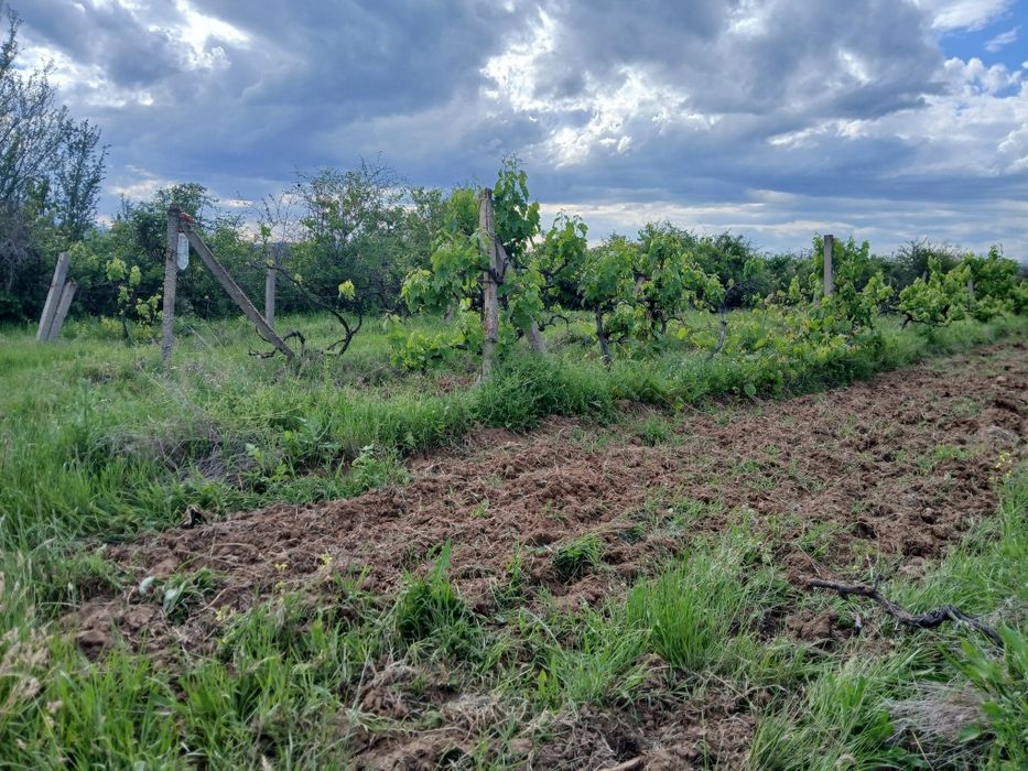 Продава се Земеделски имот в с. Карабунар, Област Пазарджик -  кв.м за 2 €/дка - Снимка #11