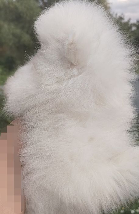 Мини Мини девочка