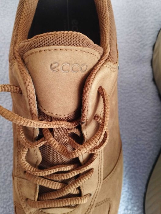 Ecco coretex номер 41.