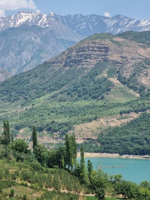 Srochno, Uy sotiladi, 6 sotix, Sijjak