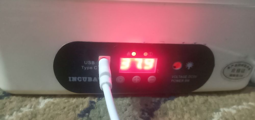 Инкубатор 1 раз пользуемся новый