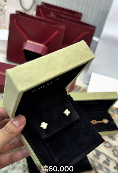 Новые серёжки сегмент премиум