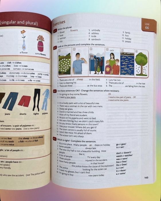 Essential Grammar in Use , English Grammar in Use