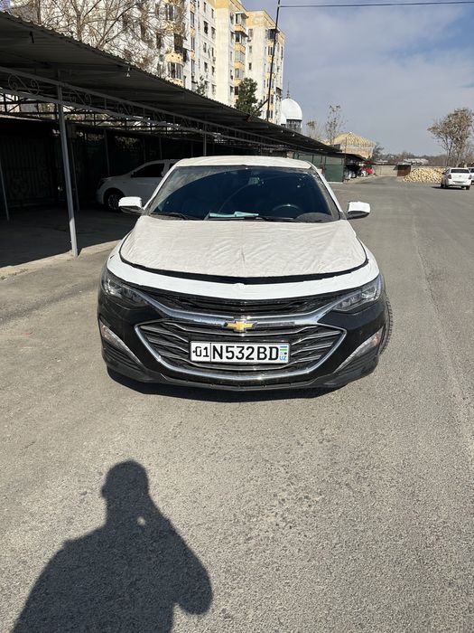 Malibu premier sotiladi