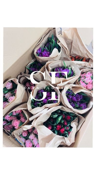 Оптовая продажа тюльпанов