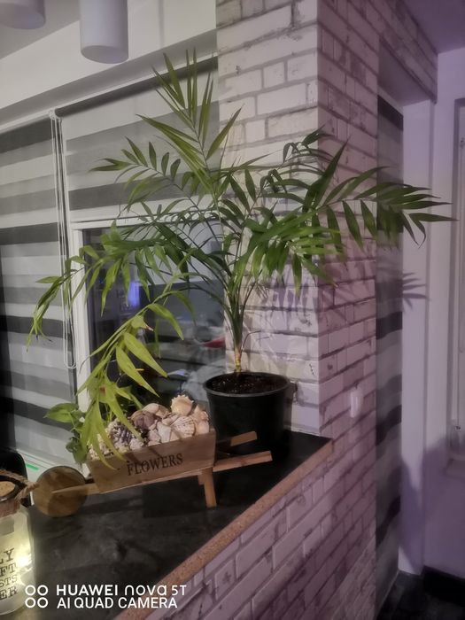 Продава се Двустаен апартамент в с. Марково, Област Пловдив - 68 кв.м за 1618 €/кв.м - Снимка #2