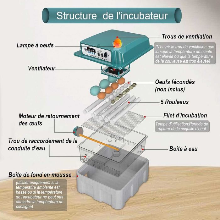 CoInceptus инкубатор 12–16 яйца – автоматично обръщане и влага