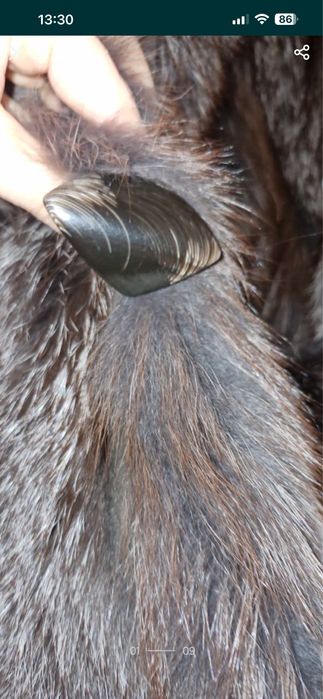 Blană de vulpe ,superbă,nr.XL