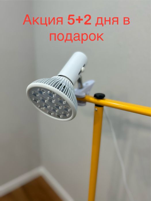 Фотолампа от желтушки