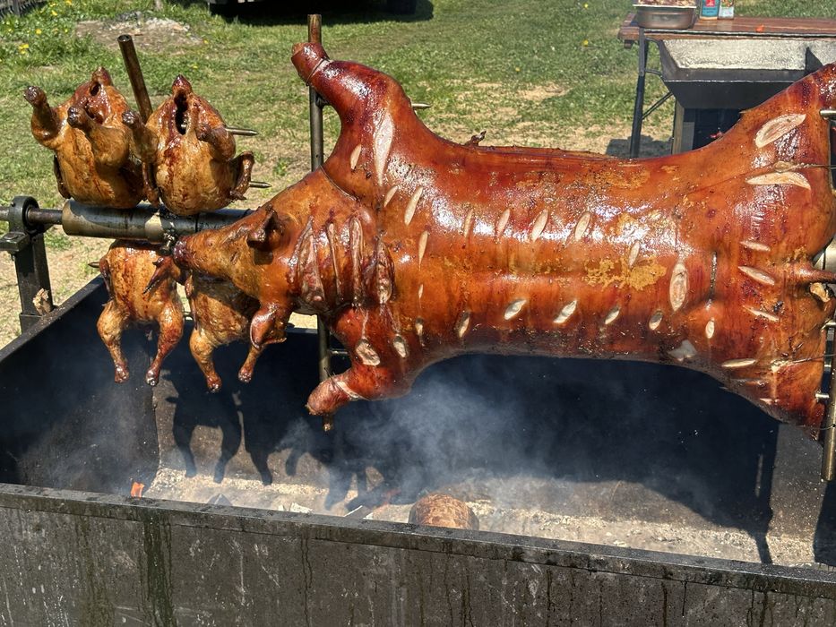 Animale facute la protap ! Ne deplasam in strainatate!