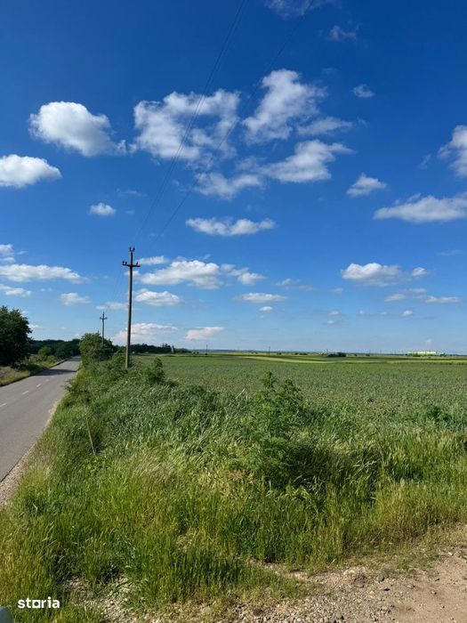 Teren de vanzare – 5.000 mp in comuna Slobozia, judetul Giurgiu