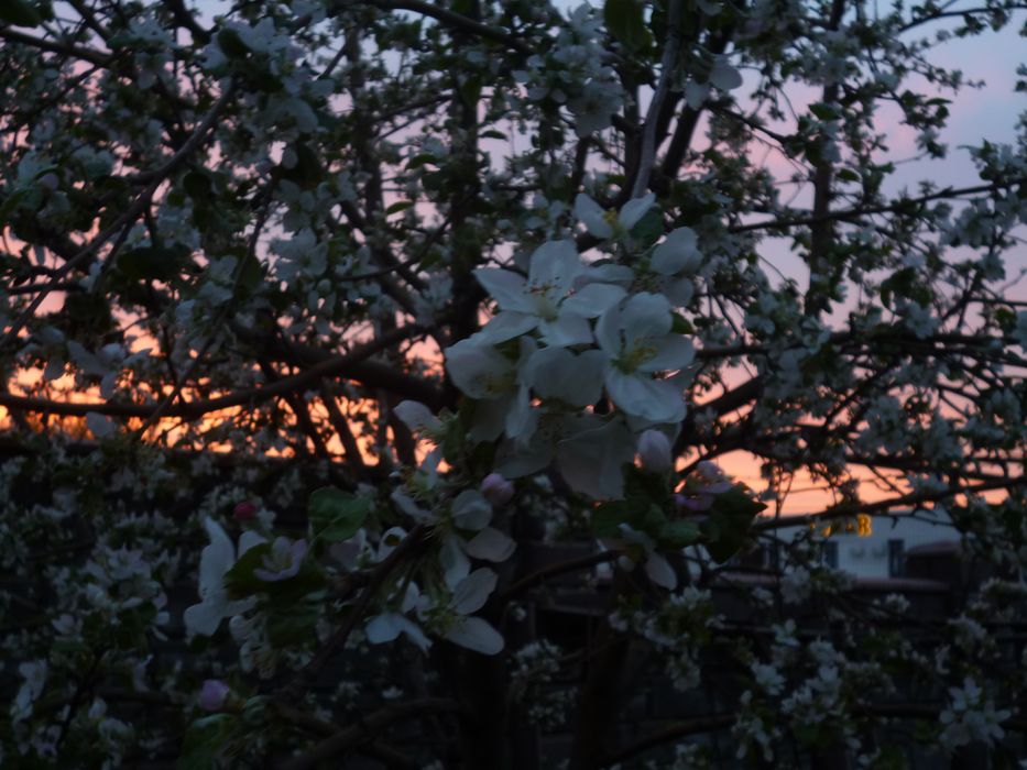 Фотоаппарат Panasonic Lumix DMC FS28