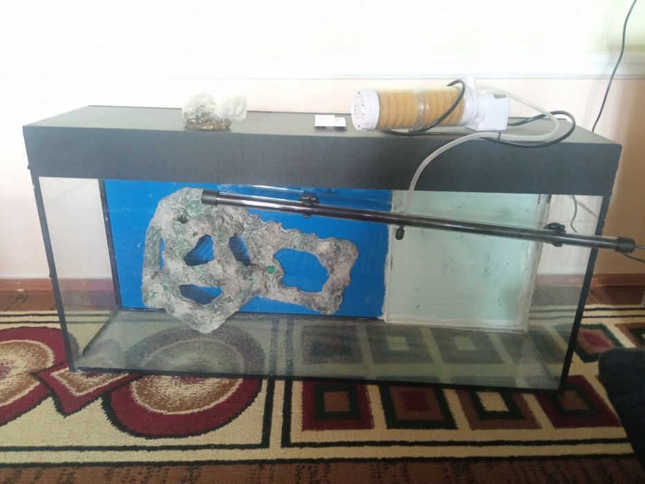 Xajmi:Akvarium 80 litr