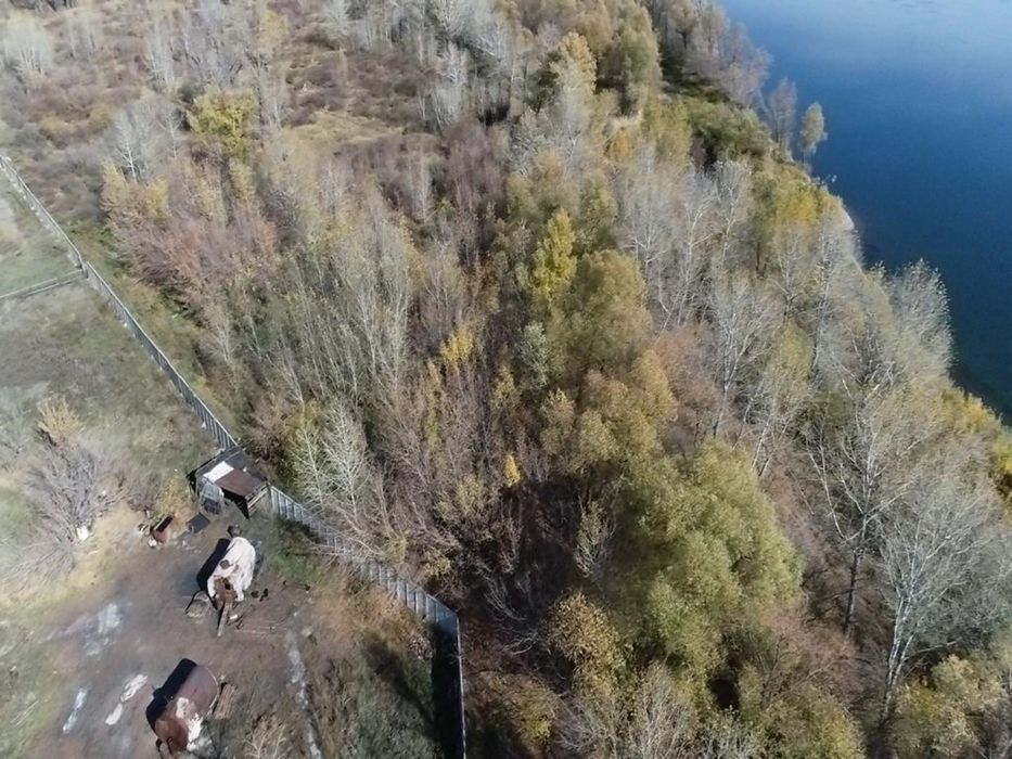Пионерский лагерь Орлёнок (бывший)