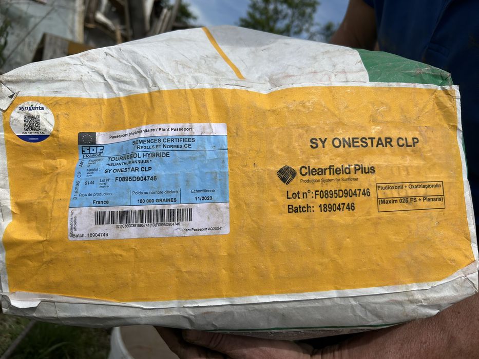 seminte de floarea soarelui