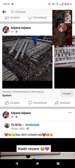 Spalieri din difisari