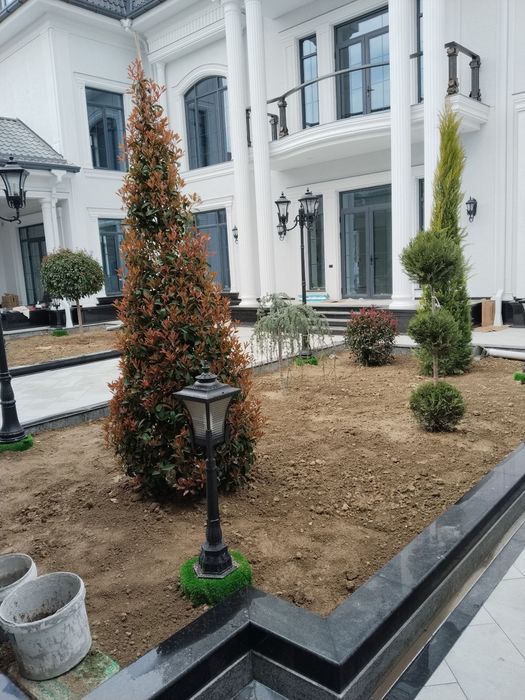 Ландшафтный дизайнер газон хизмати