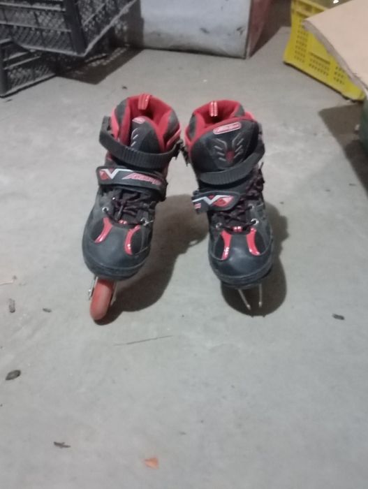 Rolik qizbolaniki va oĝilbolaniki