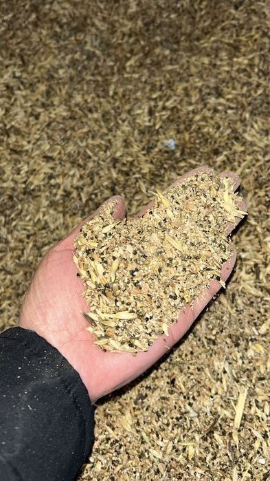 Зерноотходы чистые без пыли