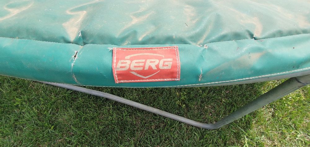 Tranbulina mare cum se vede în poza