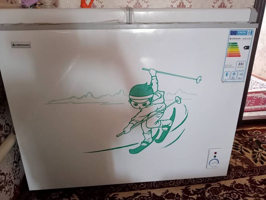 Avangard Marazilnik 218 litr