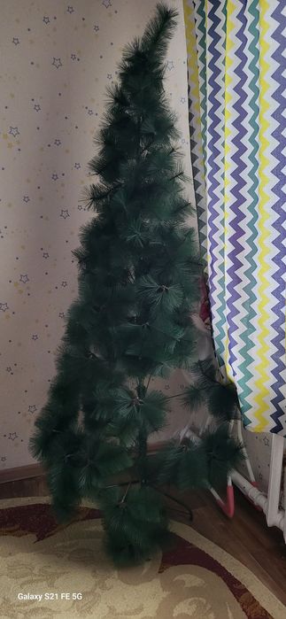 Ёлка шырша...сатам