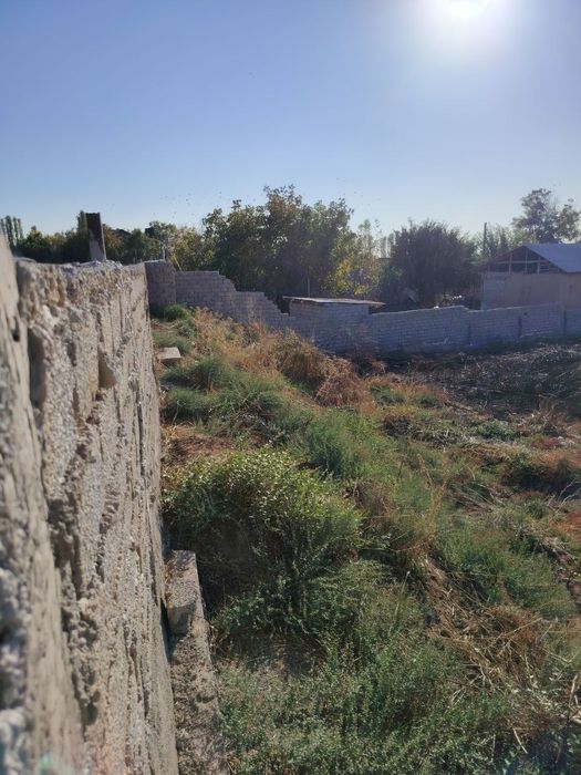 Юкоричирчик т. Уртасарой Нурлизамин