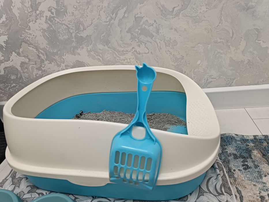 Продам кошку 4 месяц мальчик