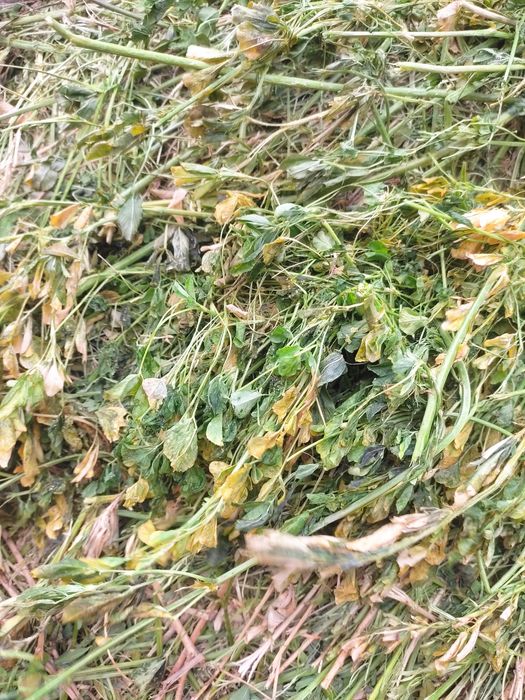 Сено  рулонах. / Жоңышқа /