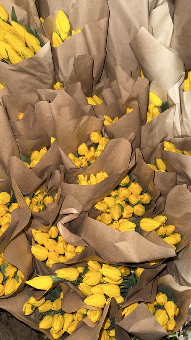 тюлпаны в наличий оптом 370тг