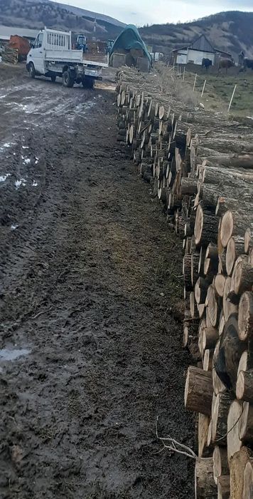 Lemne de foc la 350 lei metru esență tare cu transport gratuit