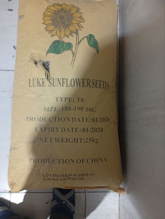 Хитой семечка 180/190