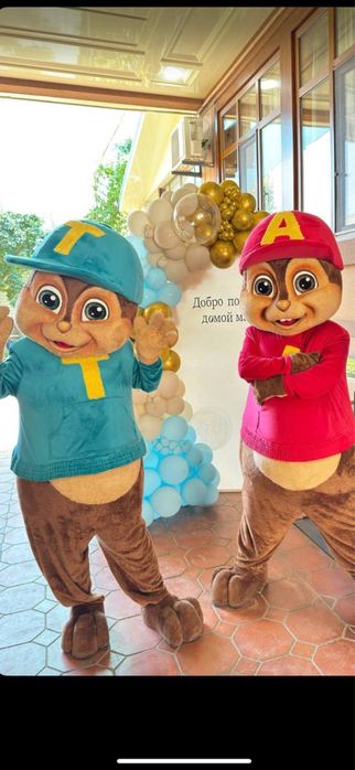 Ayiqchalar raddom tugulgan kun va boshqa tadbirlar uchun