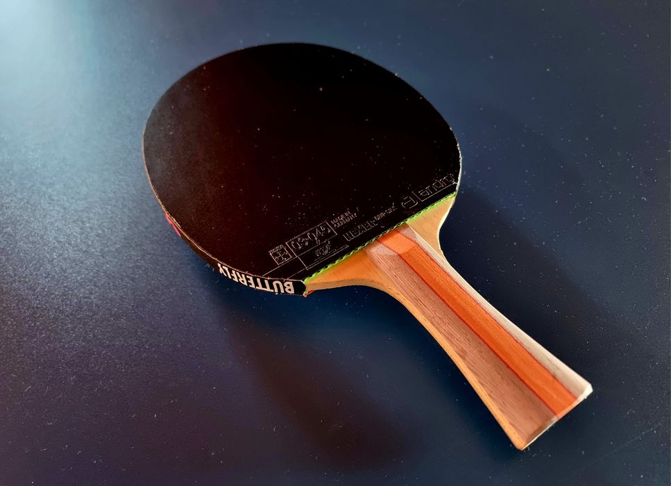 Paleta tenis de masa DHS all++ | GRIP SFX 2.1