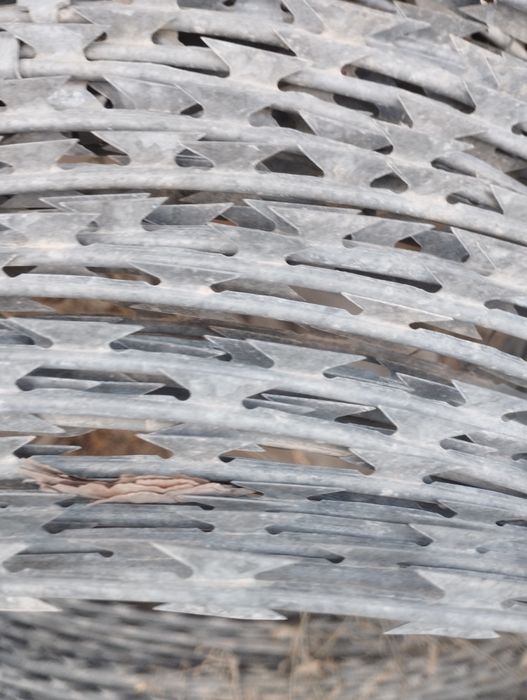 Колючий проволока